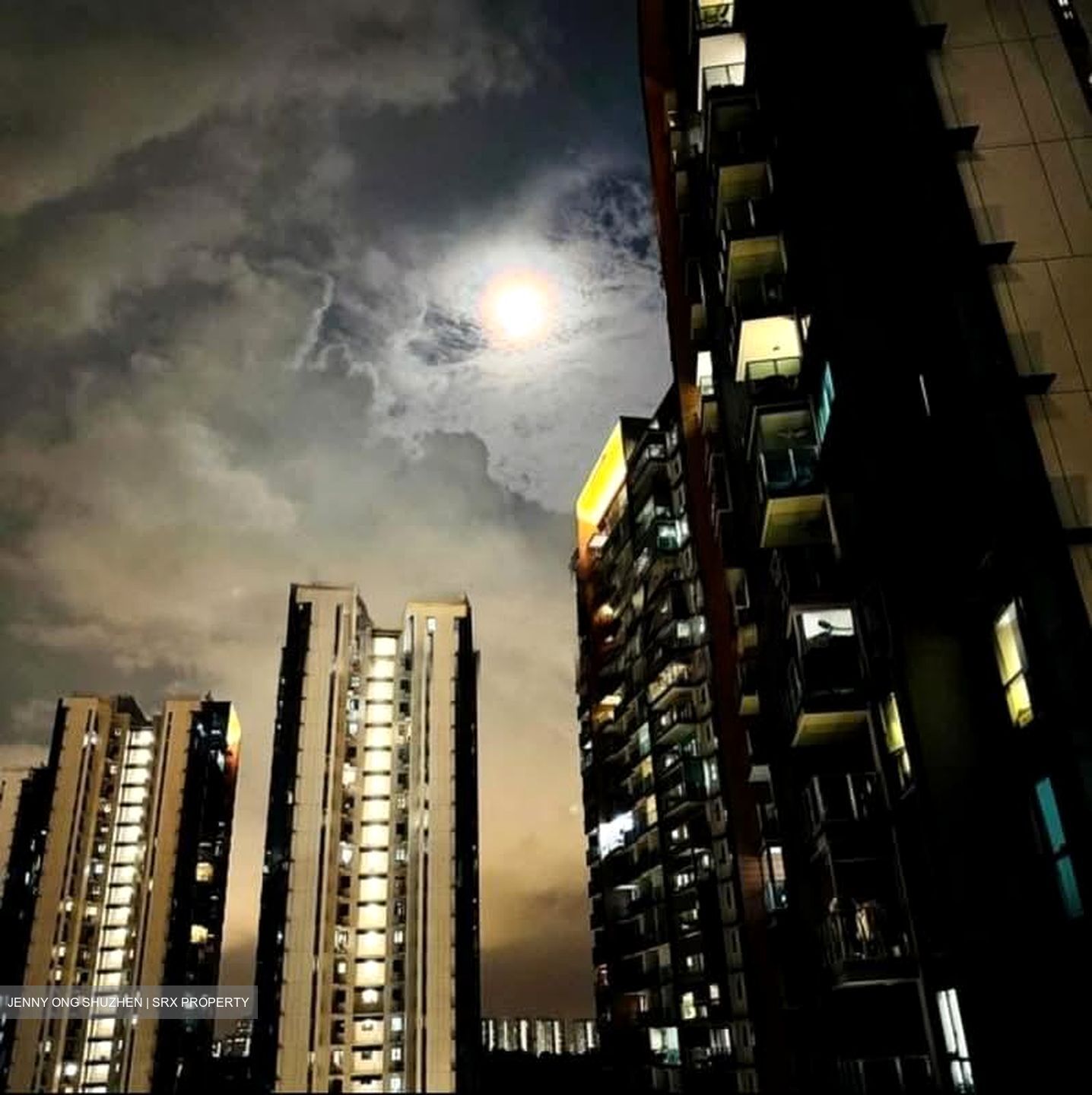 Normanton Park (D5), Apartment #562314101